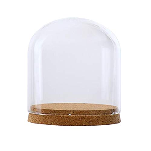 PETSOLA 2Pcs 12x12cm Vitrina De Sobremesa De Cúpula De Vidrio Transparente con Corcho De Madera Rústica