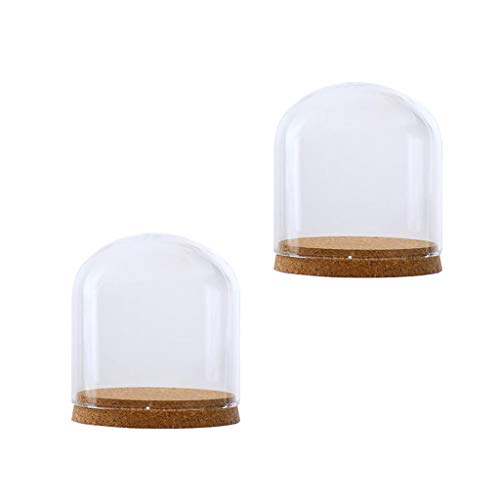 PETSOLA 2Pcs 12x12cm Vitrina De Sobremesa De Cúpula De Vidrio Transparente con Corcho De Madera Rústica