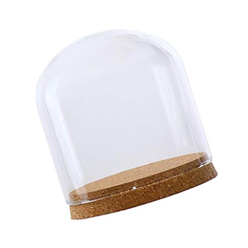 PETSOLA 2Pcs 12x12cm Vitrina De Sobremesa De Cúpula De Vidrio Transparente con Corcho De Madera Rústica