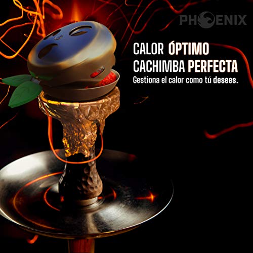 Phoenix - Gestor de Calor Cachimba, Shisha - Provost de Acero Inoxidable para carbones - Accesorio Apple Hookah Premium