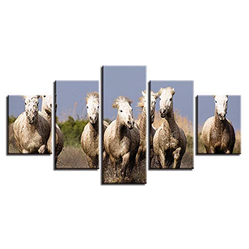 Pintura de la lona Arte de la pared 5 Piezas de alta definición Arte de la pared Animales Rebaño Pintura del paisaje Decoración de la cocina Imagen moderna de la lona Poster-Frame 40x60 40x80 40x100cm