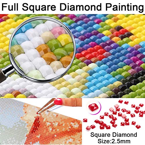 Pintura Diamante Taladro Completo DIY 5D Full square Drill Diamond painting Kits Mujer 25x30cm/9.8 * 11.8in Bordado de Punto de Cruz Arte Artesanía Casa Decoración de La Pared Y8