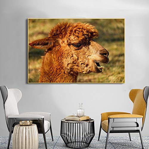 Pintura sin Marco Alpaca escandinava Animal Arte de la Pared póster e impresión 30x45cm