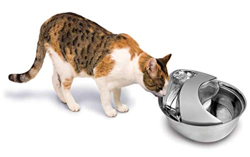Pioneer - Bebedero para Mascotas con diseño de Gota de Lluvia de Acero Inoxidable