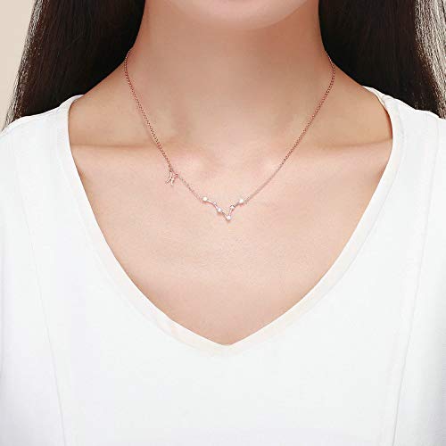 Piscis Colgante Horóscopo Collar-Plata de Ley 925 Signo del zodiaco Constelación Gargantilla Astrología Regalo de cumpleaños para mujeres Niñas