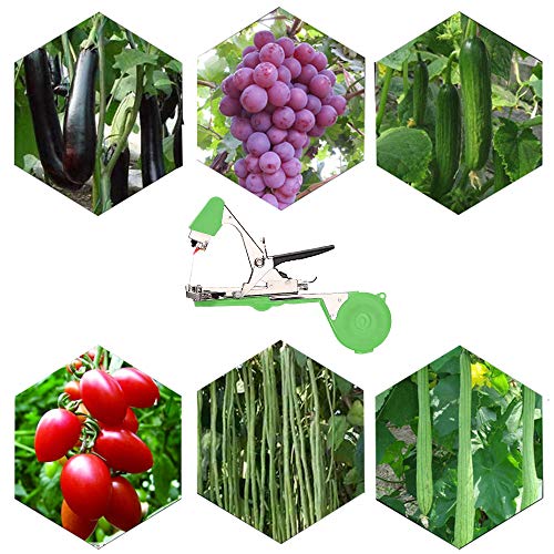 Planta Mano Atar La Máquina Jardín Tape Tool, Profesional Agricola Vid Atar Cinta Máquina para Atar Ramas de Planta, para Atadora de Tomates Vegetales Viña, con 10 rollos de Cinta y 1 paquete de Grapa