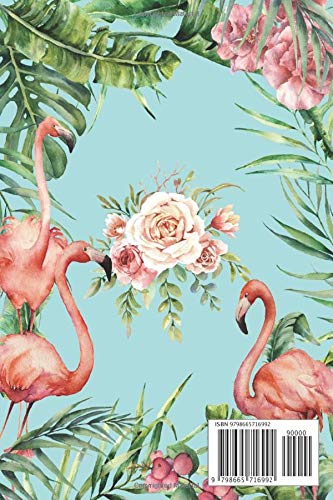 Plentiful Sketchbook: Pink Flamingo Themed Plain Paper Notebook for Sketching, Drawing, Designing, Writing, Creative Thinking and Doodling…: Trendy ... Spirit Animal In 300 Blank Numbered Pages