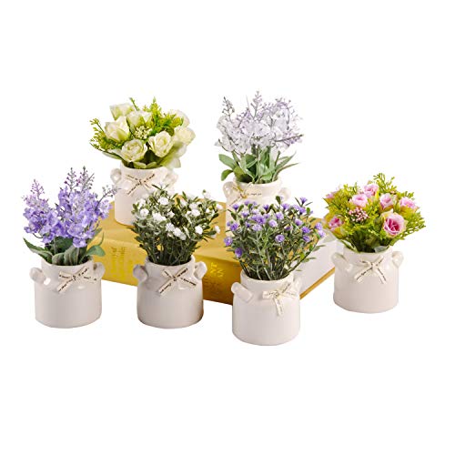 PNNP Pequeña Flores Artificiales Decoracion, Plantas Artificiales Decorativas Cerámica en Macetas 6Pcs, Planta Artificial Adecuado para El Hogar Oficina Decoración Baño Cocina Balcón