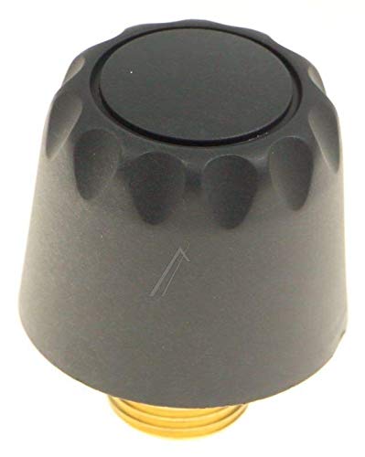 Polti Tapón de seguridad para caldera 5 Bares para Vaporella Evolution y Vaporetto Lecoaspira 700