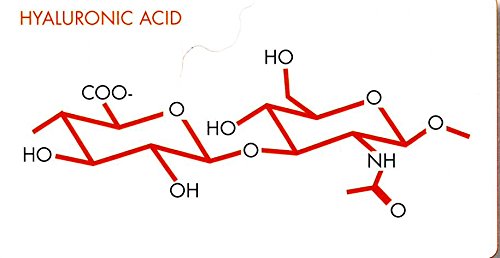 Polvo de ácido hialurónico de Hollyberry Cosmetics (peso molecular alto: 1, 2, 10, 25, 50, 100 g)