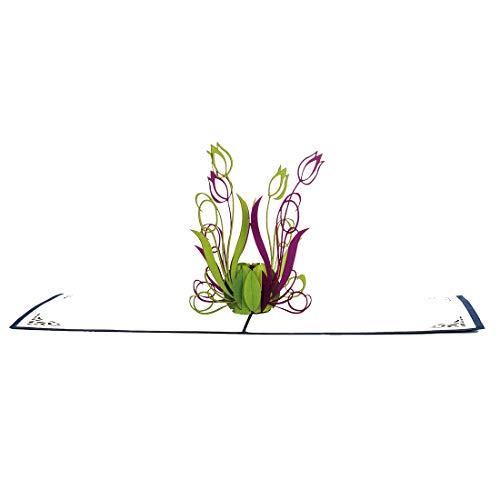 'Pop tarjeta de Up "tulipanes verde & lila – Tarjeta de flores, tarjeta de cumpleaños, cupones, 3d tarjeta – Flor de Pascua de papel, tarjeta de cupones, tarjeta para aniversario, – Tarjetas, dinero regalo Cura, felicitación