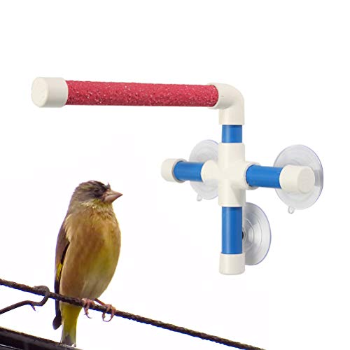 POPETPOP Juguete Pájaro Friegue el Ave del Pájaro Loro Ventosa Ducha Perca Soporte Pata Moler Soporte Juguete (Color al Azar)