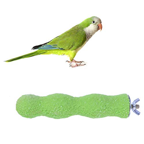 POPETPOP Soporte para pájaros, Madera, Arena áspera, Perchas, Esmerilado de uñas para pájaros pequeños, medianos y Grandes, 14 CM (Color Aleatorio)