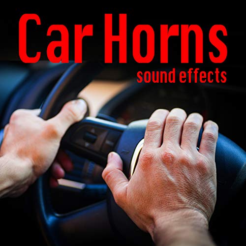 Porsche Turbo S Car Horn