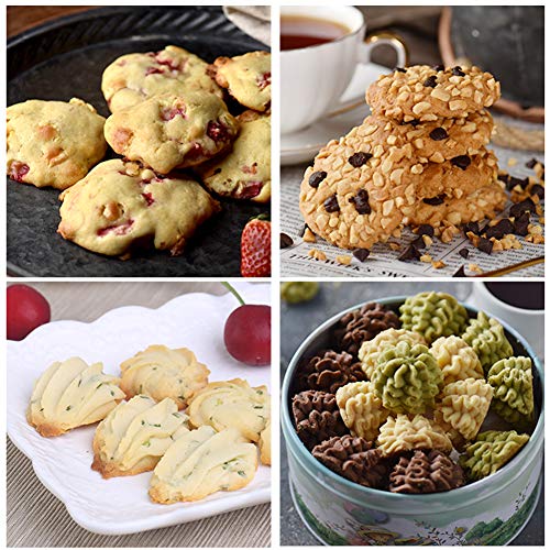 Prensador de Metal para Galletas, DIY Multifuncional Categoría Alimenticia Plástico Fabricante Galleta Torta con 16 Discos y 6 Consejos de Formación, Agarre de Confort,Blanco