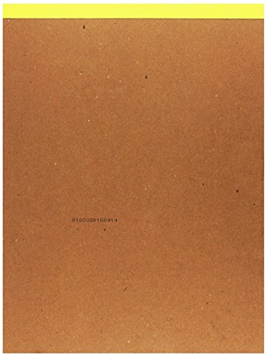 Pro-Art Paper Strathmore Papel Liso de Bristol, 22,9 x 30,5 cm, 20 Hojas