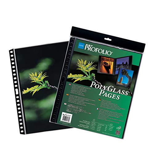 ProFolio by Itoya, Art ProFolio PolyGlass, paquete de 10 páginas de recambio para carpetas de anillas múltiples, 13 x 19 pulgadas
