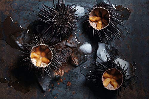 Pulpa de erizo de mar Poseidon 55 gm