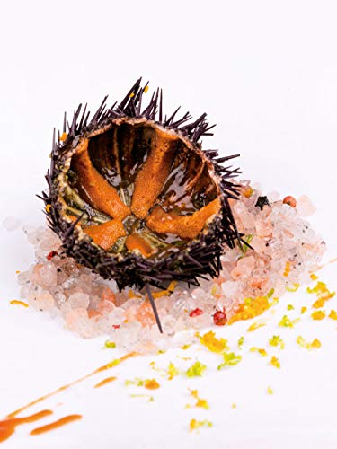 Pulpa de erizo de mar Poseidon 55 gm