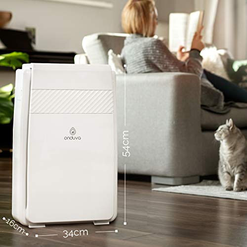 Purificador de Aire HEPA e Ionizador de Aire Onduva® XXL | Prefiltro | Filtro HEPA | Filtro carbon activado | Catalizador Frío