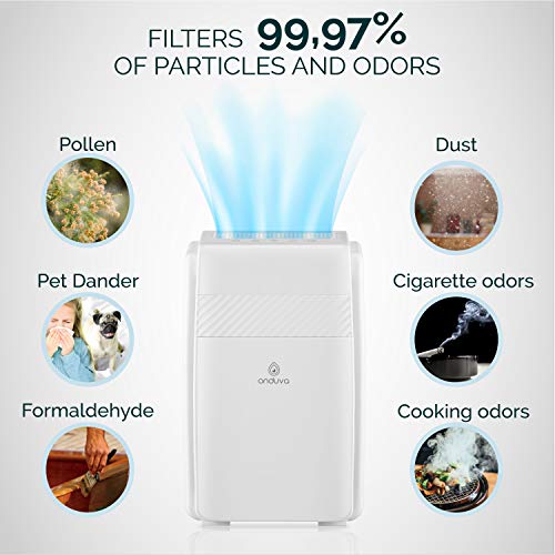 Purificador de Aire HEPA e Ionizador de Aire Onduva® XXL | Prefiltro | Filtro HEPA | Filtro carbon activado | Catalizador Frío