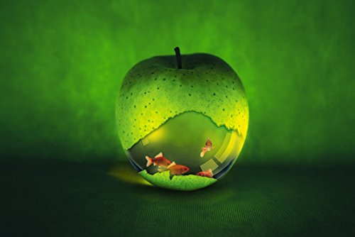 Puzzle 1500 Piezas Pescado Con Manzana Y Pera Puzzle Para Adultos Puzzle Para Niños Juguete Regalo De Vacaciones Decoración Del Hogar 87x57cm