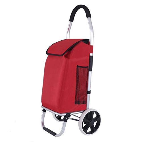 QILO Carrito de la Compra Carrito de Compras Plegable Impermeable con Bolsa Desmontable y diseño Plegable, Ligero y portátil