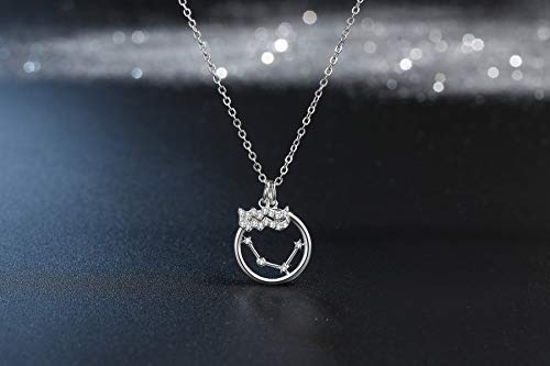 Qings Acuario Constelación Collar Signo del Zodiaco Símbolo Disco Colgante Cadena de Ajustable Collares
