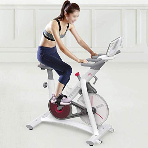Qinmo Hilado, Hogar Bicicleta estática magnética Ultra silencioso Asiento Control Dinámico de Bicicletas Altura Ajustable Equipo de Entrenamiento Deportivo