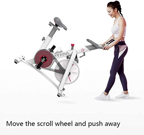 Qinmo Hilado, Hogar Bicicleta estática magnética Ultra silencioso Asiento Control Dinámico de Bicicletas Altura Ajustable Equipo de Entrenamiento Deportivo