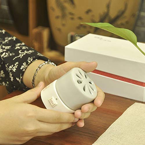 Quemador de Incienso de cerámica electrónico, Aceite Esencial eléctrico Difusor de aromaterapia, Temperatura Constante Horno 140° /160°, Porcelana casera, Balcón, Porche, Patio