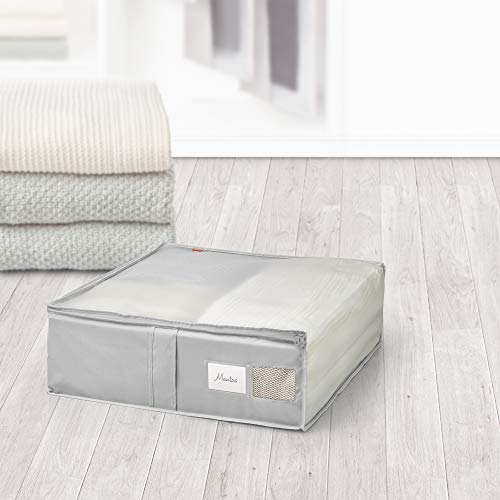 Rayen - Caja de almacenaje de ropa y mantas de cama. Bolsa de tela para ropa con cremallera, rejilla transpirable, plegable y resistente. 55 x 65 x 20 cm. Gris Claro/Translúcido