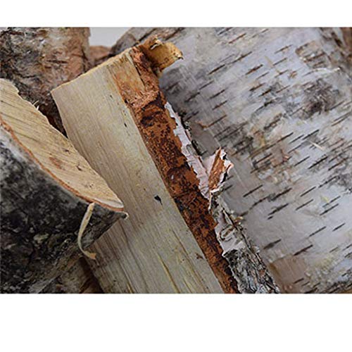 Red de madera dura seca al horno de abedul, 25 l, 18% de humedad, perfecta para quemadores de leña, estufas de leña, fuegos abiertos, hornos de pizza.