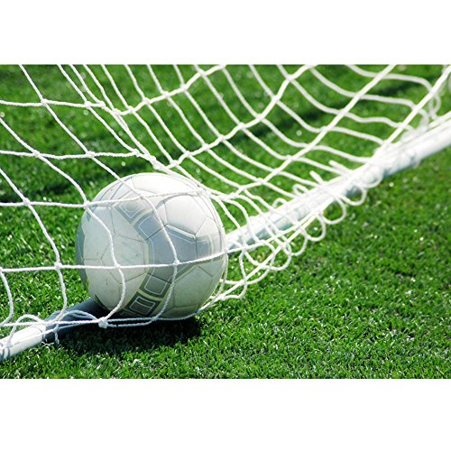 Red para Portería de Fútbol, Tamaño Completo, 6 x 4ft /8 x 6ft /12 x 6ft /24 x 8ft para Formación Práctica Entrenamiento Partido ( tamaño : 6*4 )
