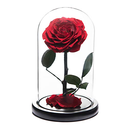 regalo de san valentín regalo de la bella y la bestia en vidrio para el día de su madre regalos de aniversario de san valentín niña cumpleaños Rosa eterna con pétalos caídos reales en caja de lujo 9"