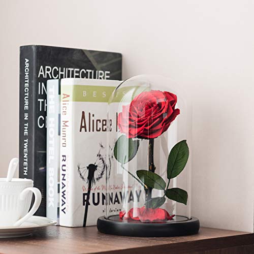 regalo de san valentín regalo de la bella y la bestia en vidrio para el día de su madre regalos de aniversario de san valentín niña cumpleaños Rosa eterna con pétalos caídos reales en caja de lujo 9"