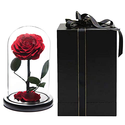 regalo de san valentín regalo de la bella y la bestia en vidrio para el día de su madre regalos de aniversario de san valentín niña cumpleaños Rosa eterna con pétalos caídos reales en caja de lujo 9"