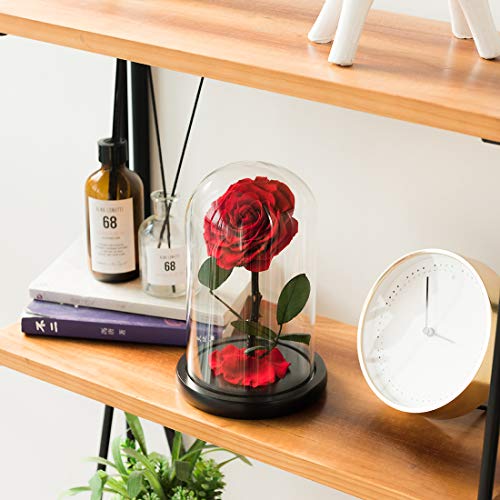 regalo de san valentín regalo de la bella y la bestia en vidrio para el día de su madre regalos de aniversario de san valentín niña cumpleaños Rosa eterna con pétalos caídos reales en caja de lujo 9"