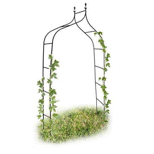 Relaxdays 10017904 - Arco para trepadoras, 1.70 x 2.4 m, Color Verde