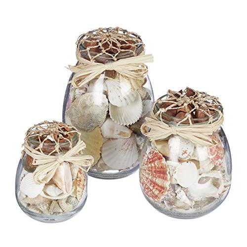 Relaxdays Conchas de Mar, Set de 3 Botes, Decoración Marinera, Caracolas Marinas, Varios Tamaños, Coloridas, Beige