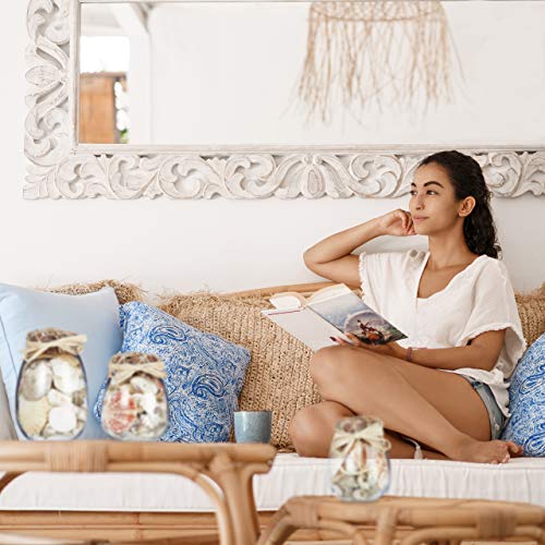 Relaxdays Conchas de Mar, Set de 3 Botes, Decoración Marinera, Caracolas Marinas, Varios Tamaños, Coloridas, Beige