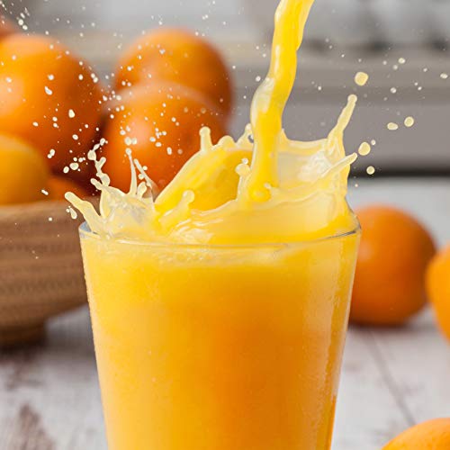 Relaxdays Jarra de cristal con tapa, Mango ergonómico, Apto para lavavajillas, 1,3 L, Transparente