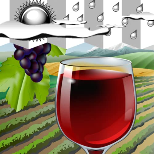 Reloj Tiempo Widget Vino