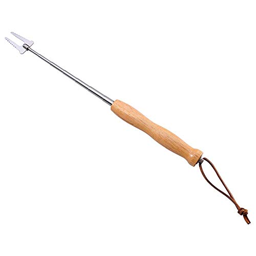 remote.S Brochetas De Barbacoa Escala Pinchos De Acero Inoxidable con Manija De Madera para Brochetas Chuches Fruta Golosinas Pollo