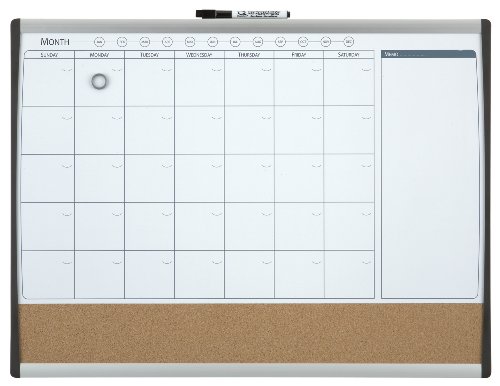 REXEL 1903813 - Combo organizador mensual magnético + tablero corcho 585x430 mm, Gris y negro