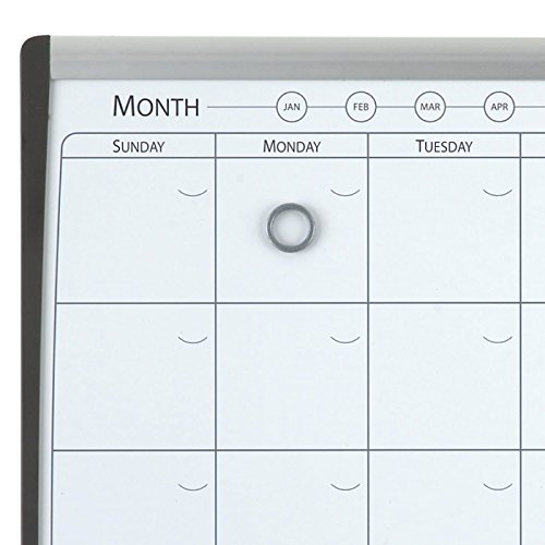 REXEL 1903813 - Combo organizador mensual magnético + tablero corcho 585x430 mm, Gris y negro
