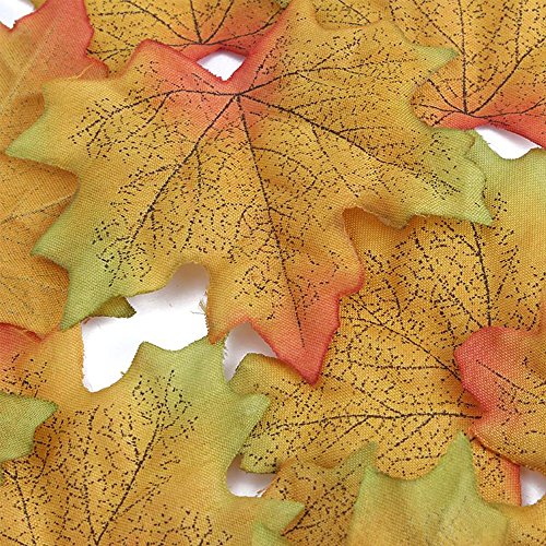 Romote 100 OTOÑO/HOJAS DE ARCE SILK MULTI COLOR/de la boda/decoración