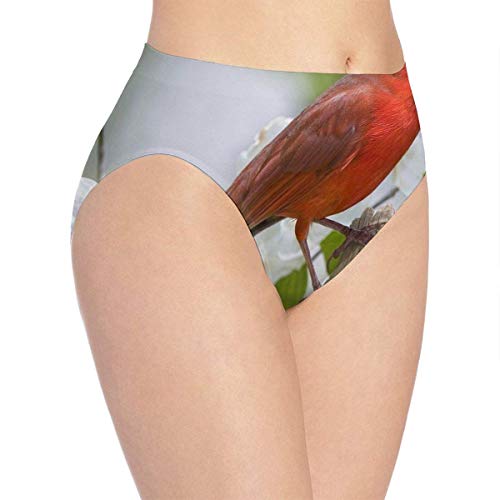 Ropa Interior para Mujer Calzoncillos Rojos y Negros de pájaro y Ciruela Blanca Calzoncillos Cortos de Hipster M