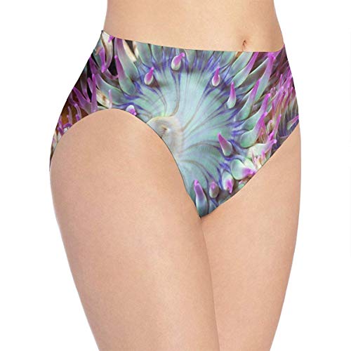 Ropa Interior para Mujer Son anémonas de mar Plantas o Animales Bikini Calzoncillos Calzoncillos Hipster M