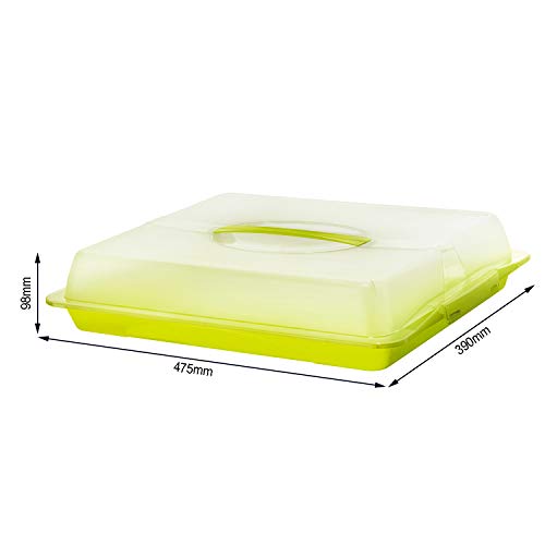 Rotho John, Mayordomo de fiesta con capucha y asa de transporte, Plástico PP sin BPA, verde, transparente, 47.5 x 39.0 x 9.8 cm